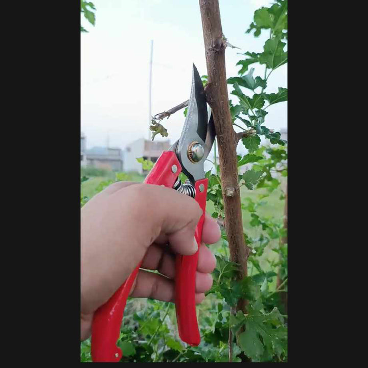 Pruning Shear Metal design - Happy Seeds Shop