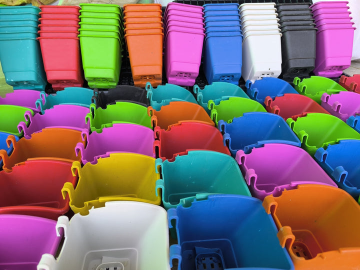 Grill pots | Set of 6 pots, mix colors