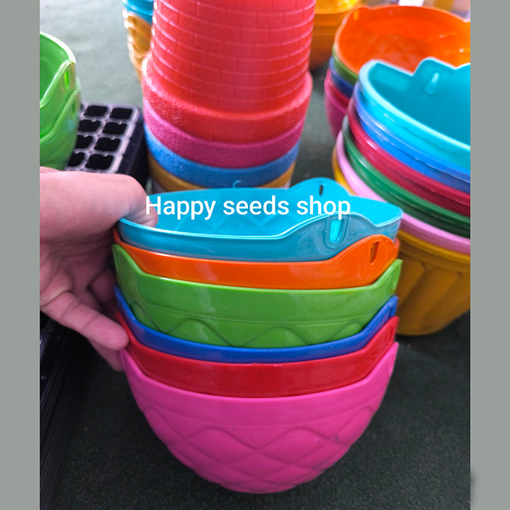 Holding colorful hanging baskets in hand, multiple other garden pots in the background.
