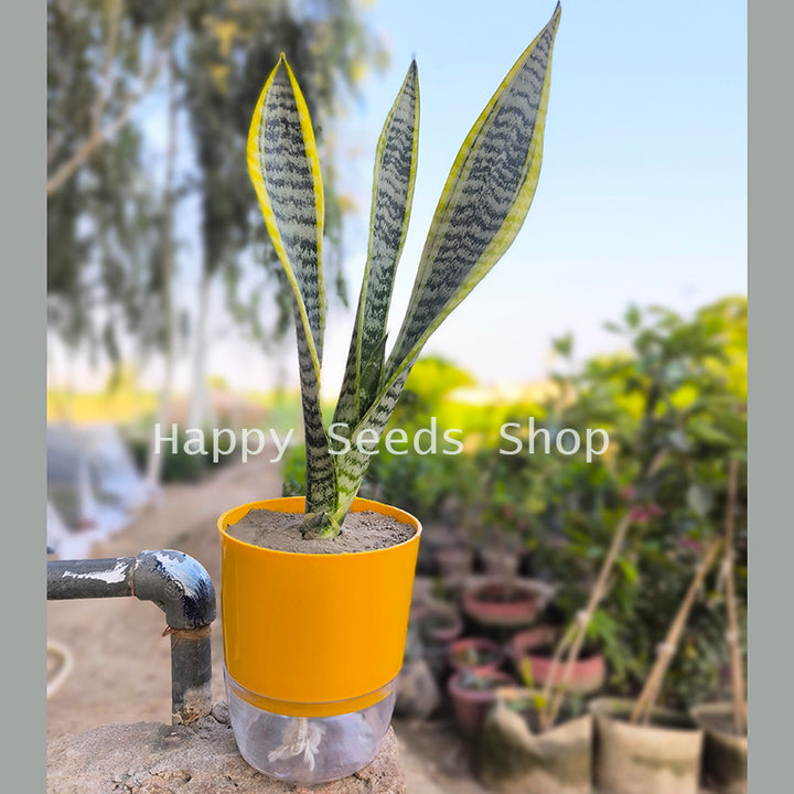 Self Watering pots round | 4 pots set , mix colors