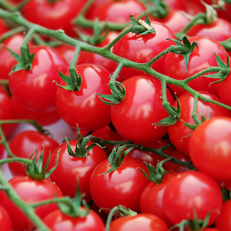 Red Cherry tomato - Happy Seeds Shop