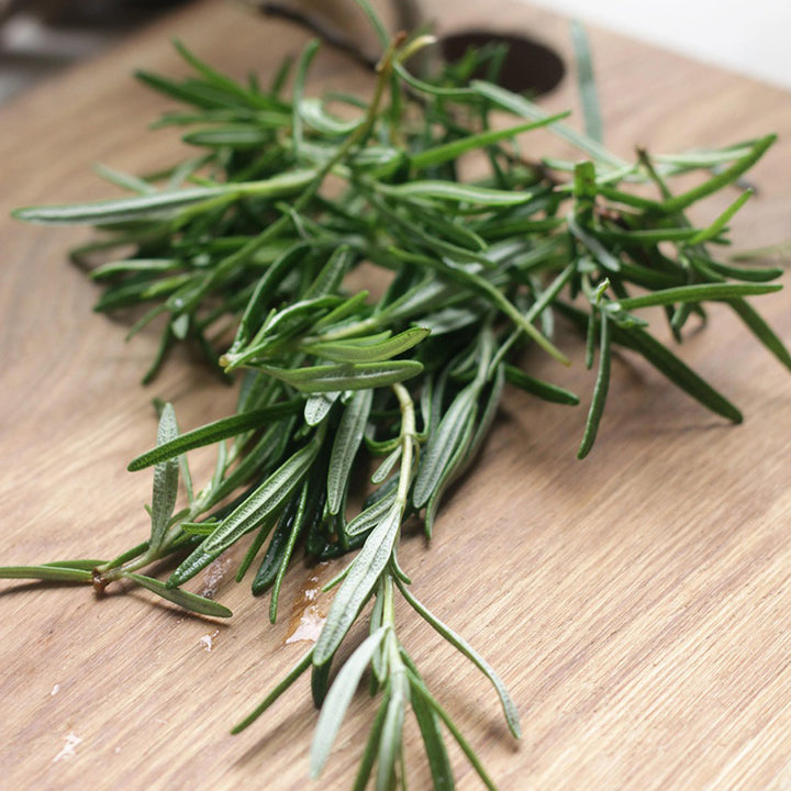 Rosemary herb seeds