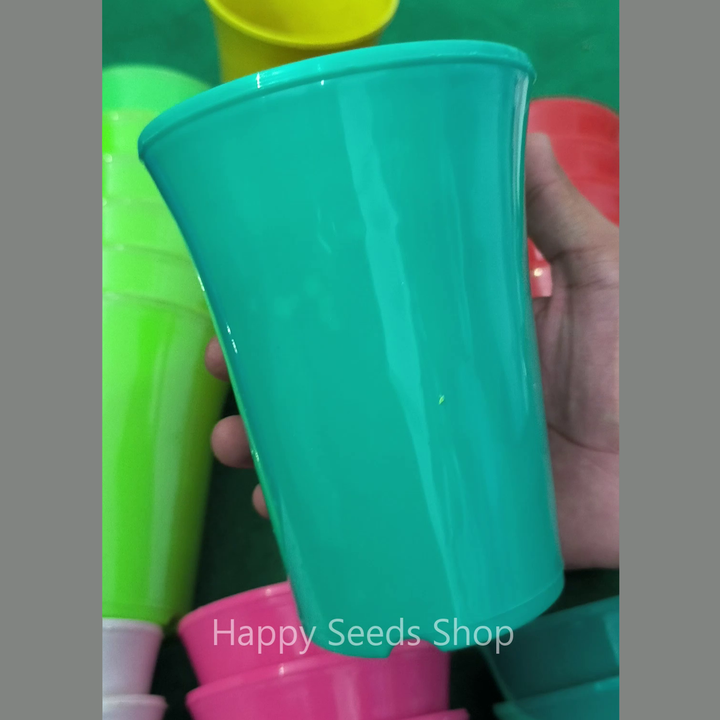 Fancy glass shape Pots | 6 Pots Set - mix colors