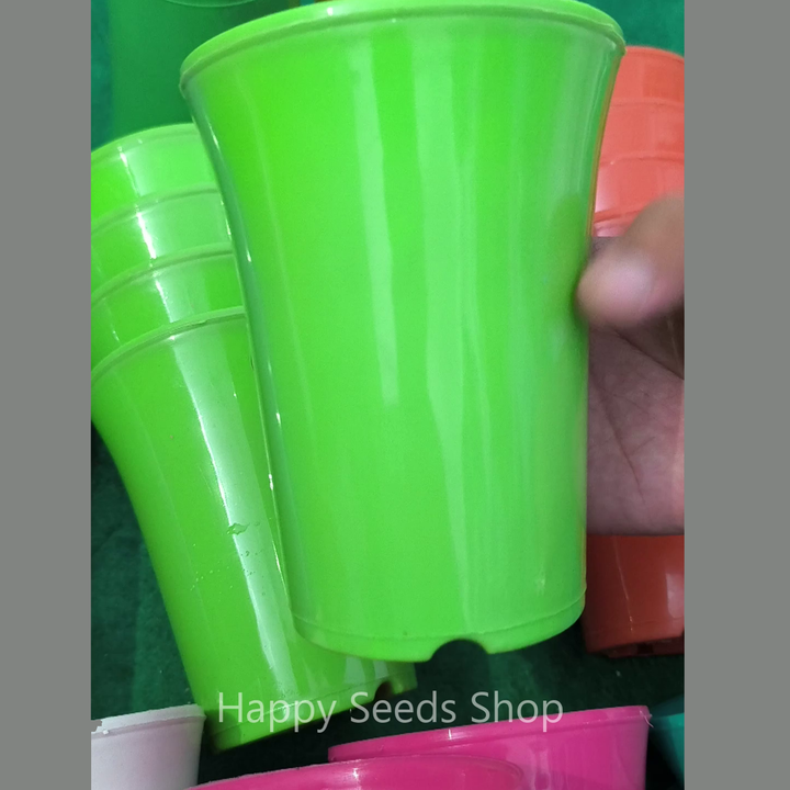 Fancy glass shape Pots | 6 Pots Set - mix colors
