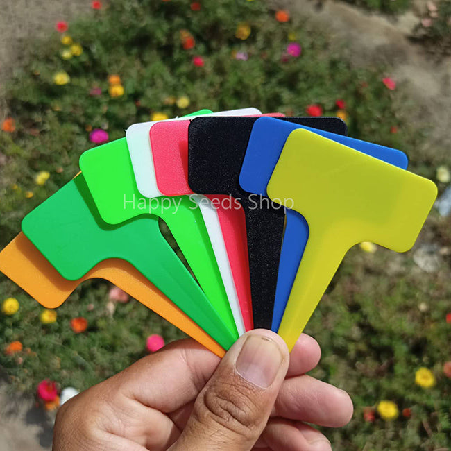 T Shape Plant Labels | Mix color 10 Pieces - Happy Seeds Shop