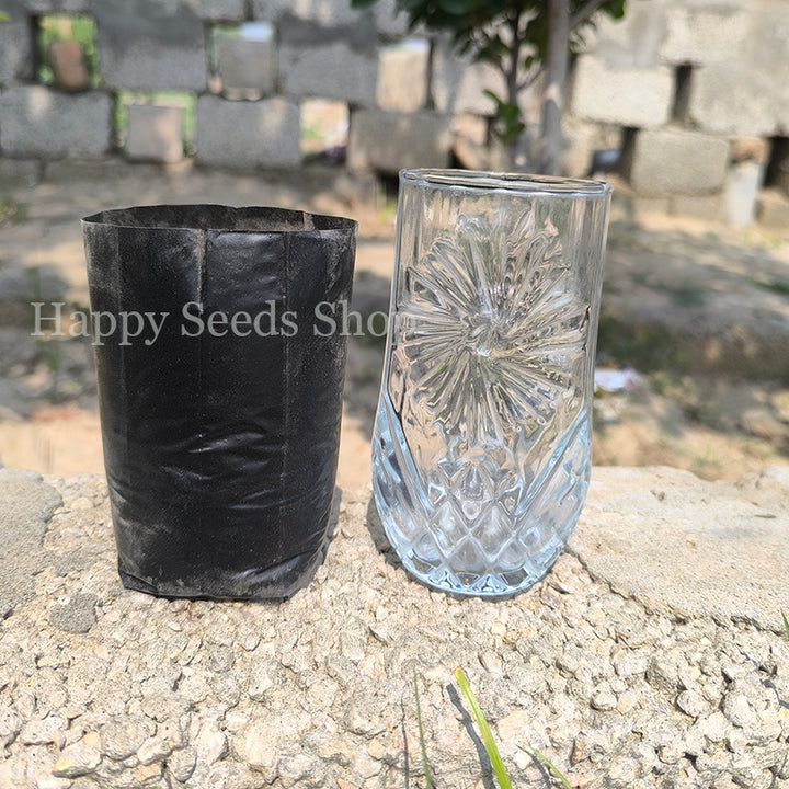 Plant Nursery Plastic bag | Actual size 4 inches approximately  | 50 Pieces
