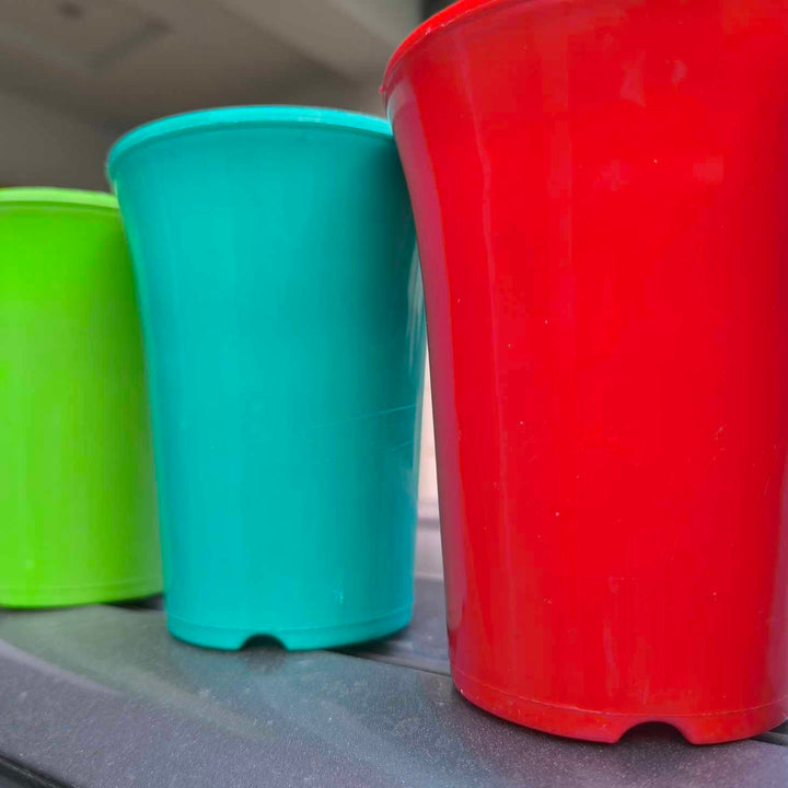 Fancy Colorful Plastic pots - Happy Seeds Shop