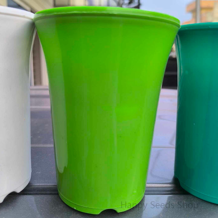 Fancy Colorful Plastic pots - Happy Seeds Shop