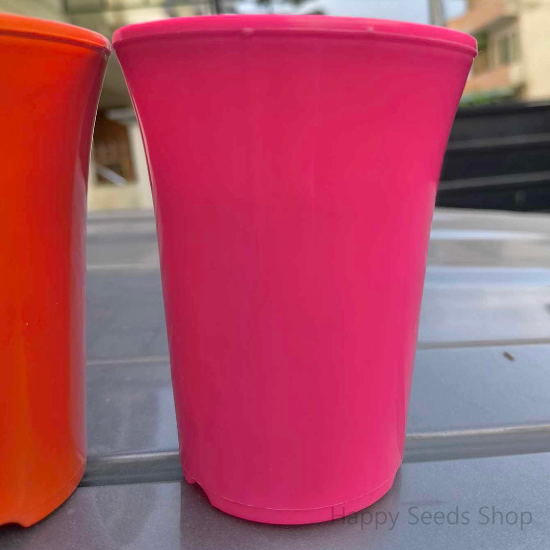 Fancy Colorful Plastic pots - Happy Seeds Shop