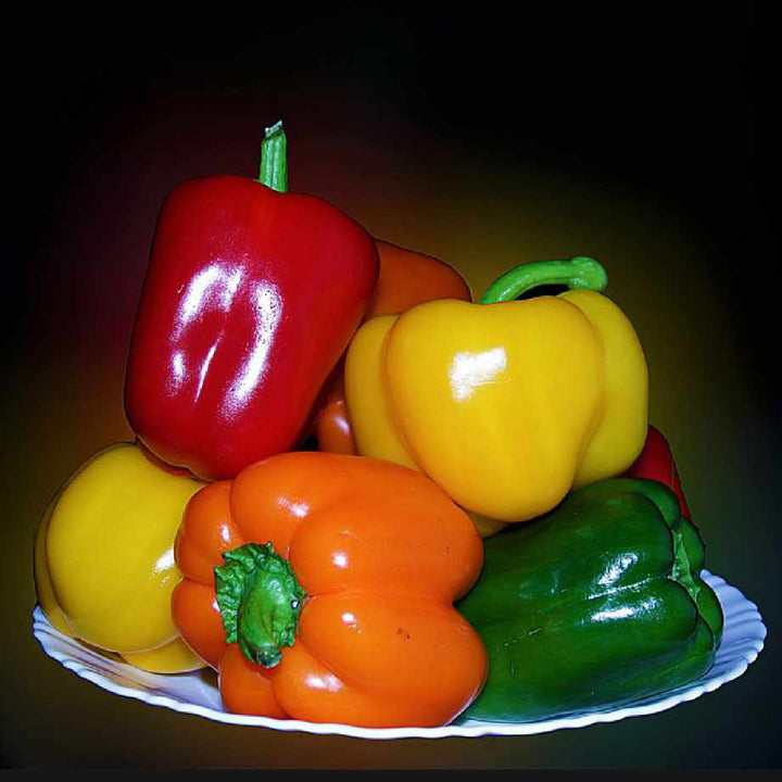 Mix Color Capsicum - Happy Seeds Shop