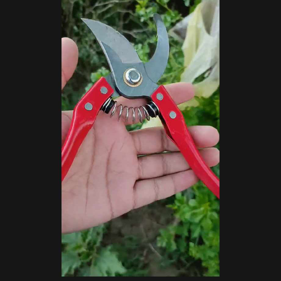 Pruning Shear Metal design