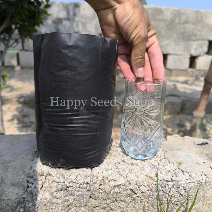 Plant Nursery Plastic bag | Actual size 8 inches approximately  | 30 Pieces