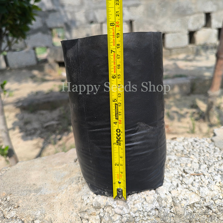 Plant Nursery Plastic bag | Actual size 8 inches approximately  | 30 Pieces