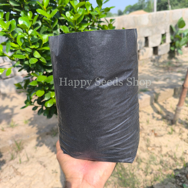 Plant Nursery Plastic bag | Actual size 9 inches | 20 Pieces