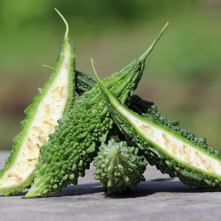 Tasty Desi Bitter gourd | 10 Seeds - Happy Seeds Shop