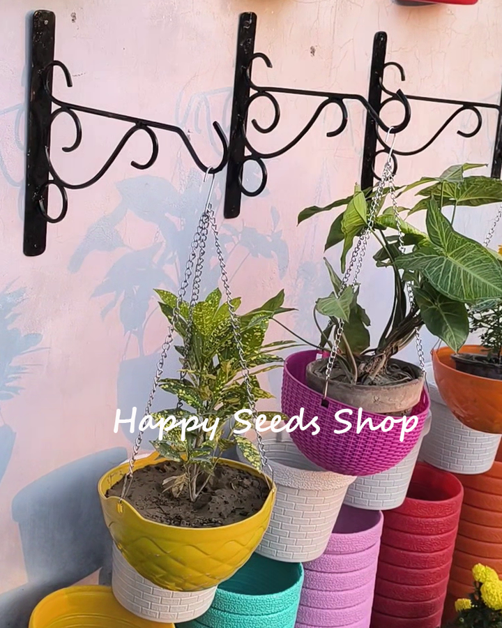 Colourful hanging basket planters with plants on a wall bracket, featuring 'Happy Seeds Shop' branding.