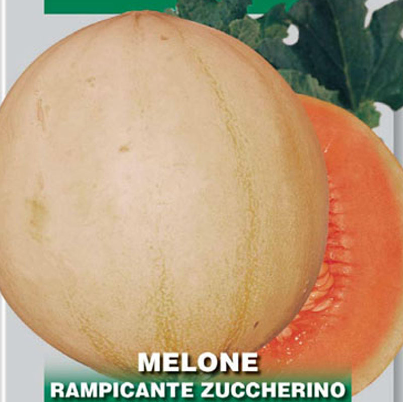 Melon Zuccherino