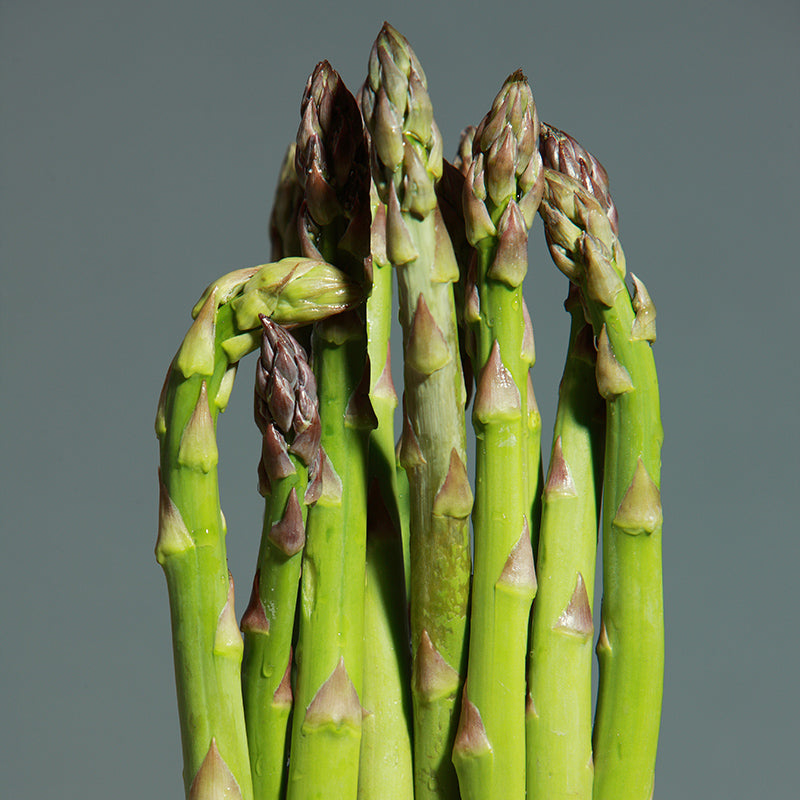 Asparagus Conover’s Colossal - Happy Seeds Shop