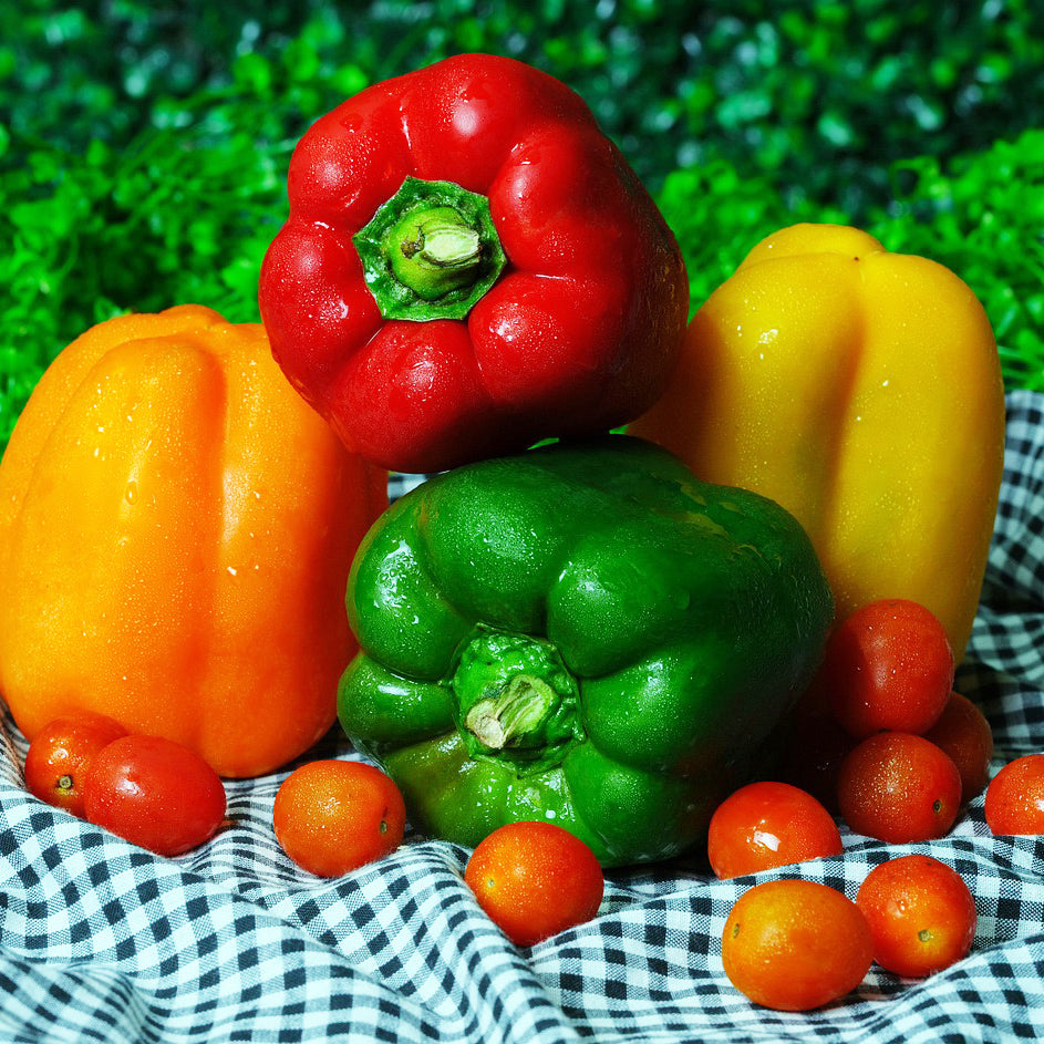 Mix Color Capsicum - Happy Seeds Shop