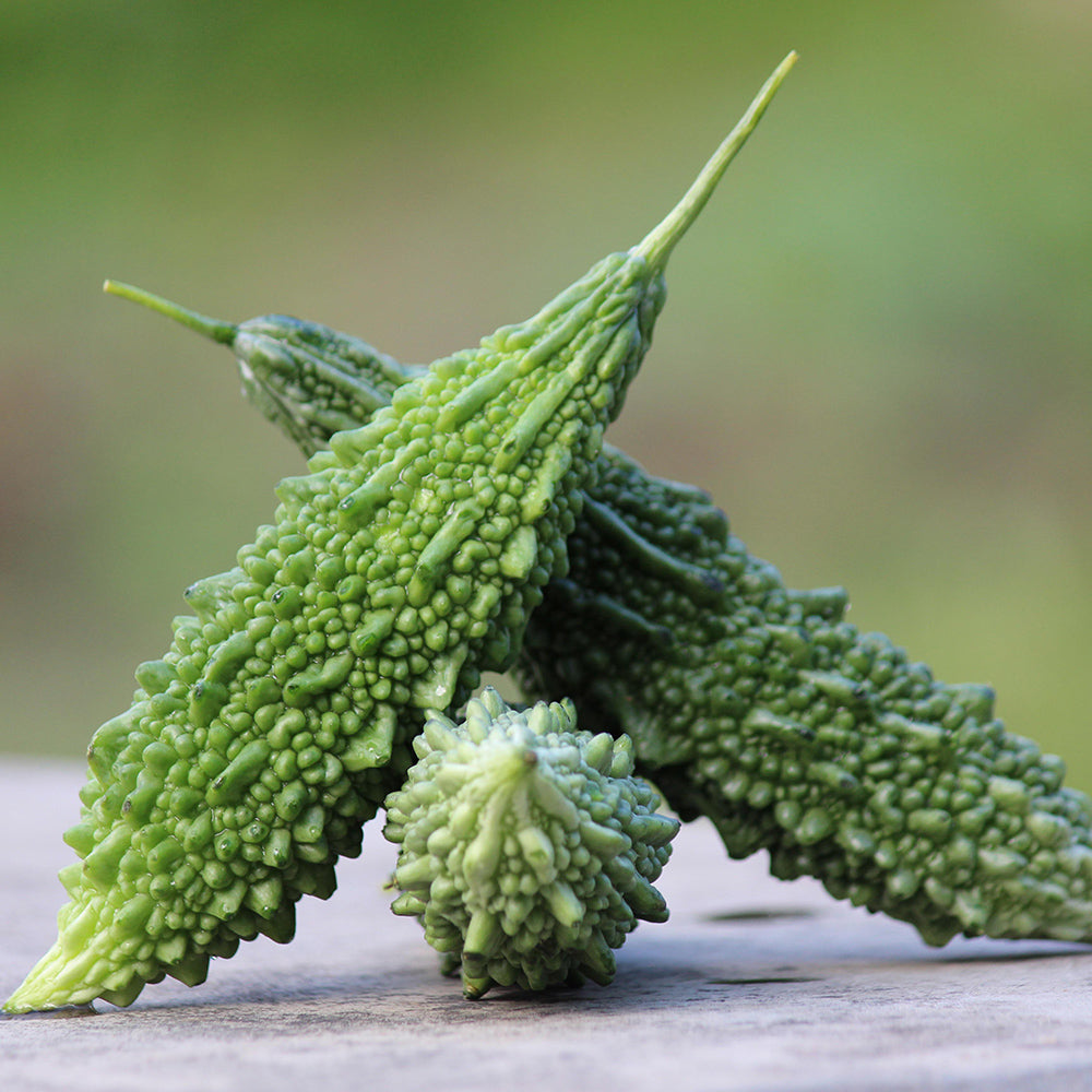 Tasty Desi Bitter gourd | 10 Seeds - Happy Seeds Shop