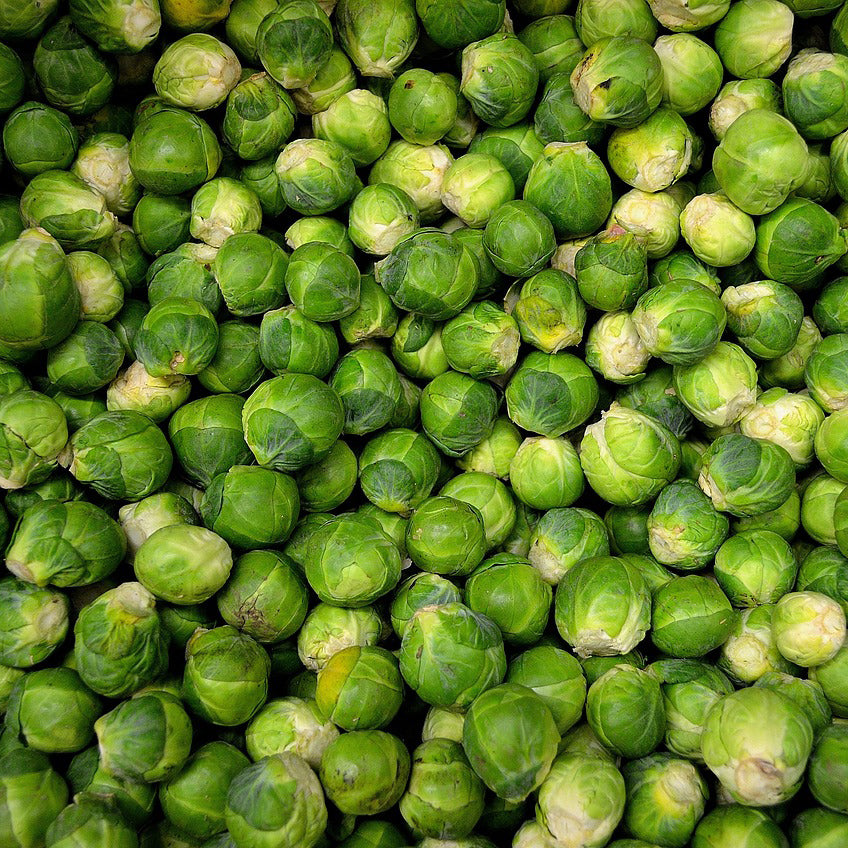 Brussel Sprouts long island improved - Happy Seeds Shop