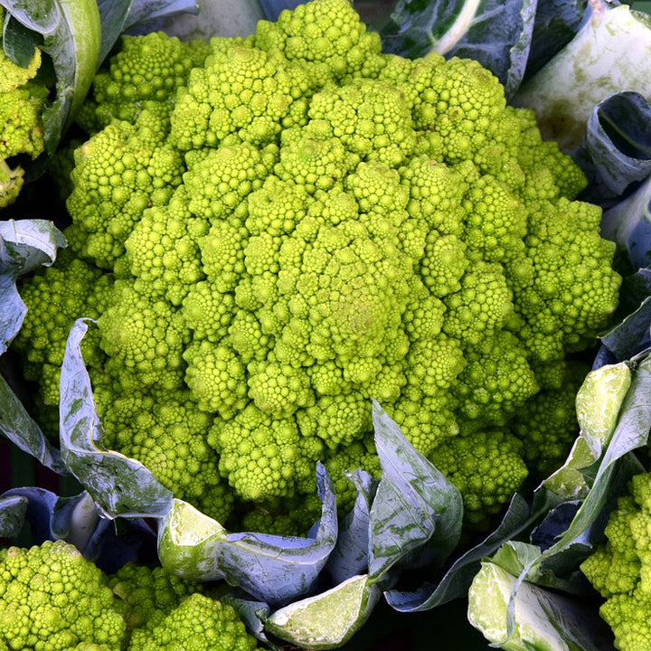 Romanesco Cauliflower - Happy Seeds Shop