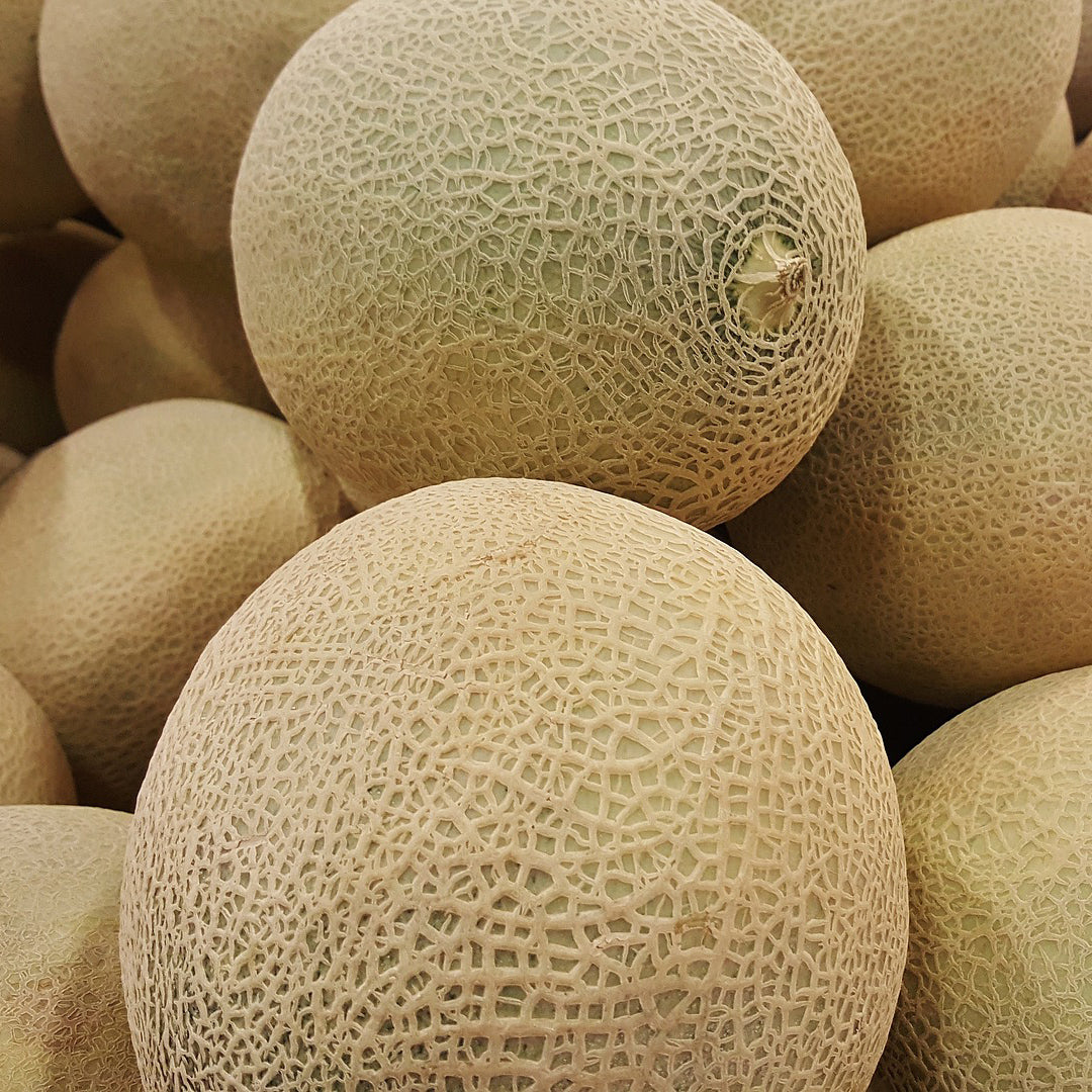 Cantaloupe | Melon - Happy Seeds Shop