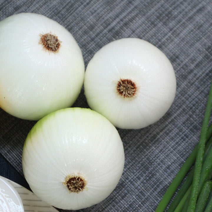 White Onion - Happy Seeds Shop