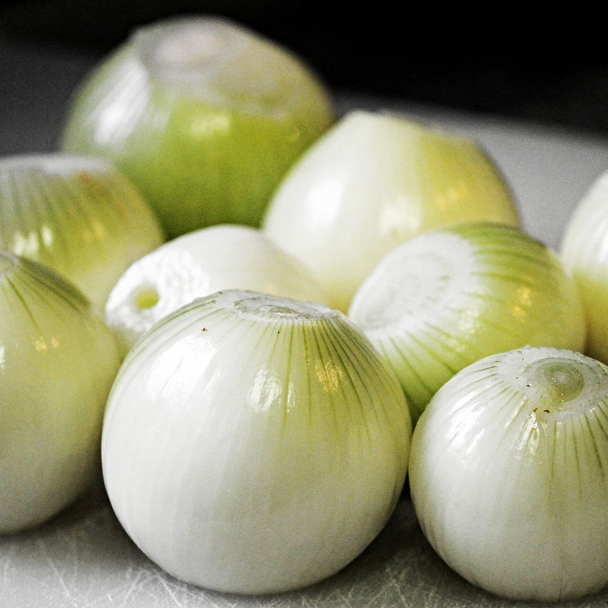 White Onion Seeds for Home Gardening Happy Seeds Shop