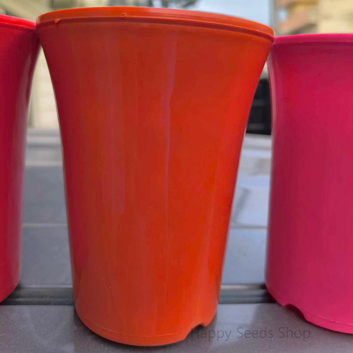 Fancy Colorful Plastic pots - Happy Seeds Shop