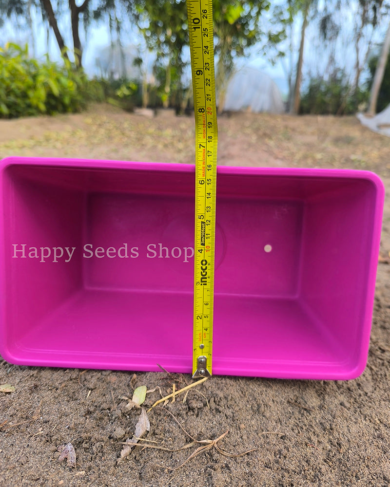 Rectangle colorful pots | 4 Pots set, mix colors