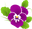 Happy Seeds Shop logo