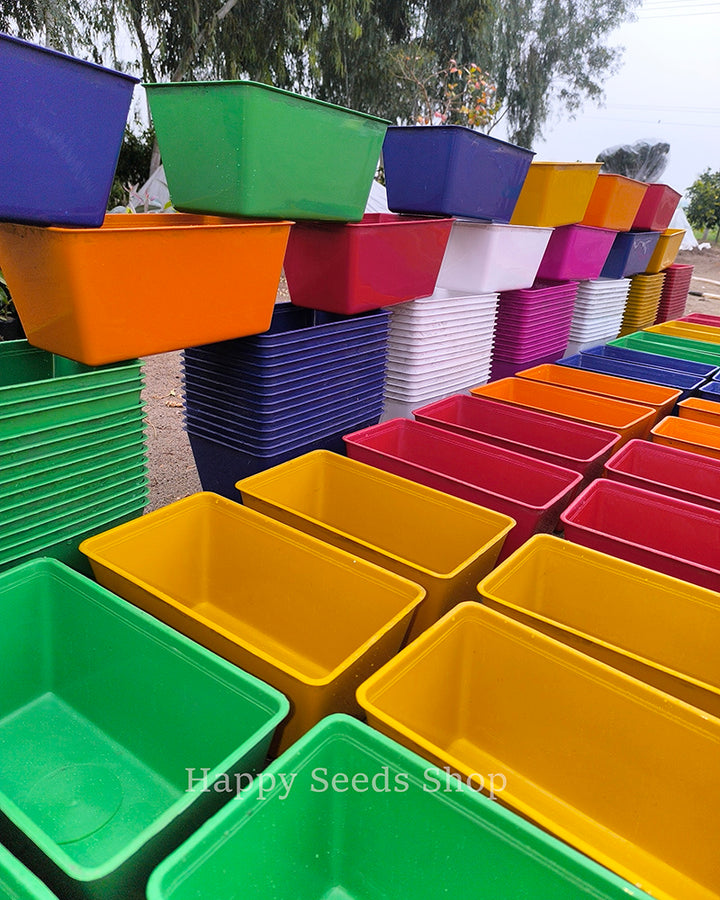 Rectangle colorful pots | 4 Pots set, mix colors