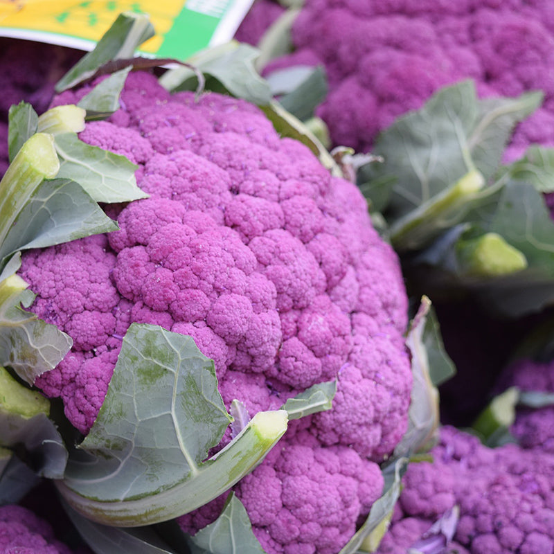 Purple Cauliflower Di Sicilia Violetto
