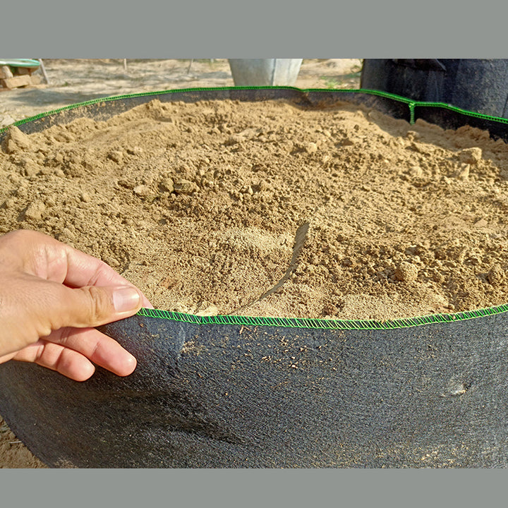 Raised Bed 28 inches , No handles, Approximately 12 by 28 inches | 1 Raised bed