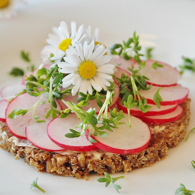 French Breakfast Radish - Happy Seeds Shop