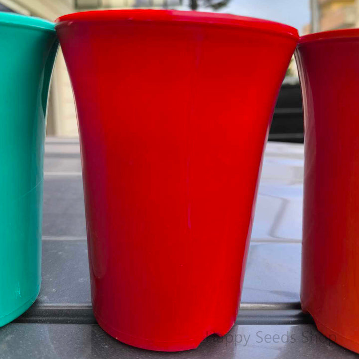 Fancy Colorful Plastic pots - Happy Seeds Shop