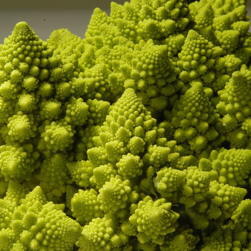 Romanesco Cauliflower - Happy Seeds Shop