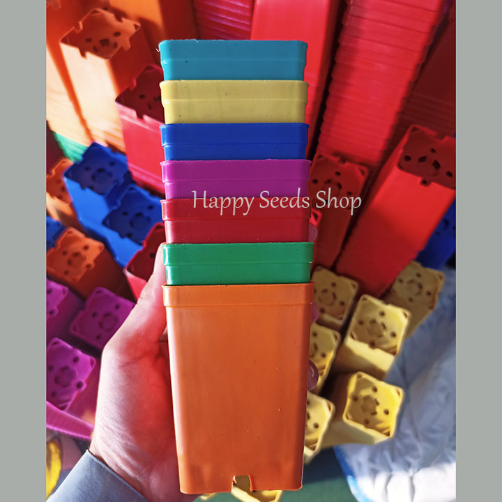 Square pots 3*4 Inches | 6 Pots set, mix colors