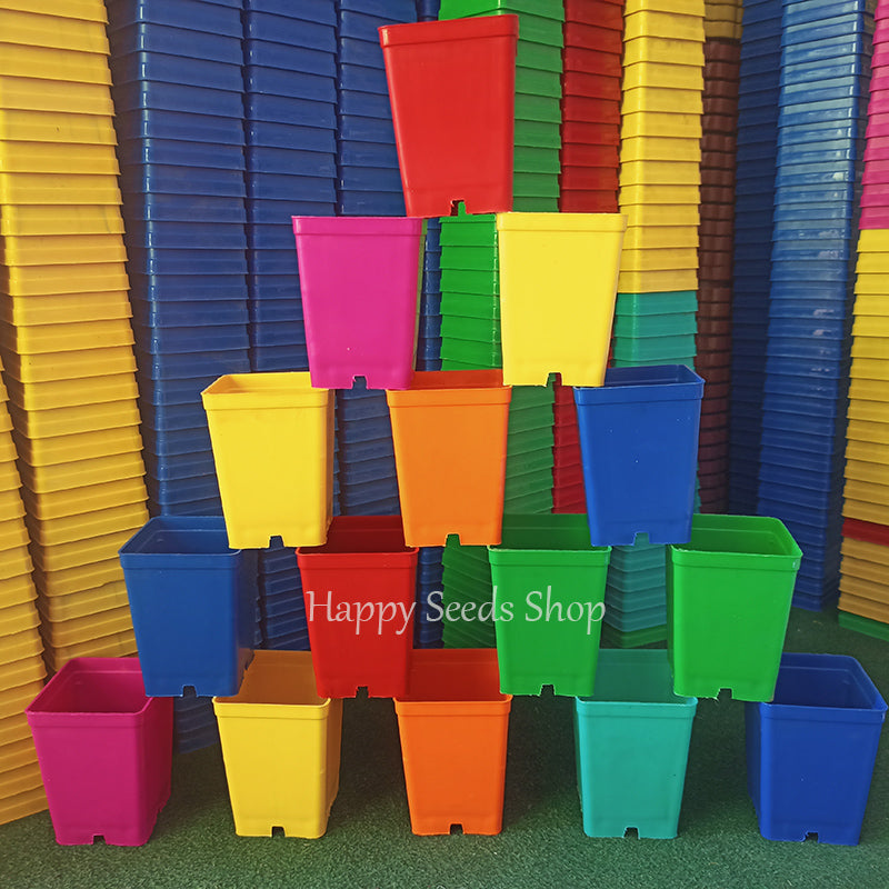 Square pots 3*4 Inches | 6 Pots set, mix colors