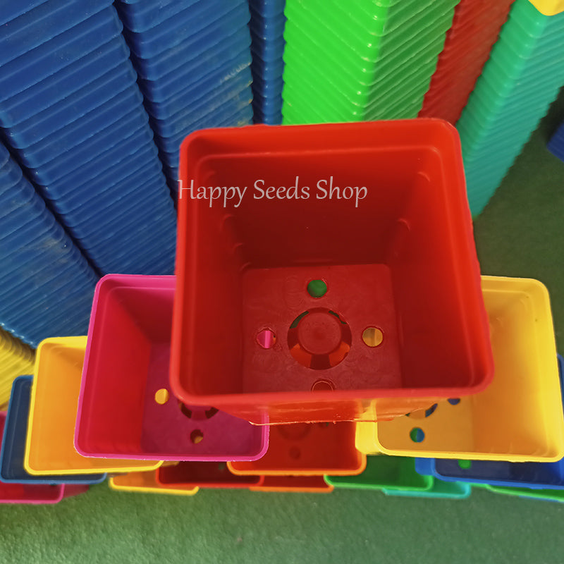 Square pots 3*4 Inches | 6 Pots set, mix colors