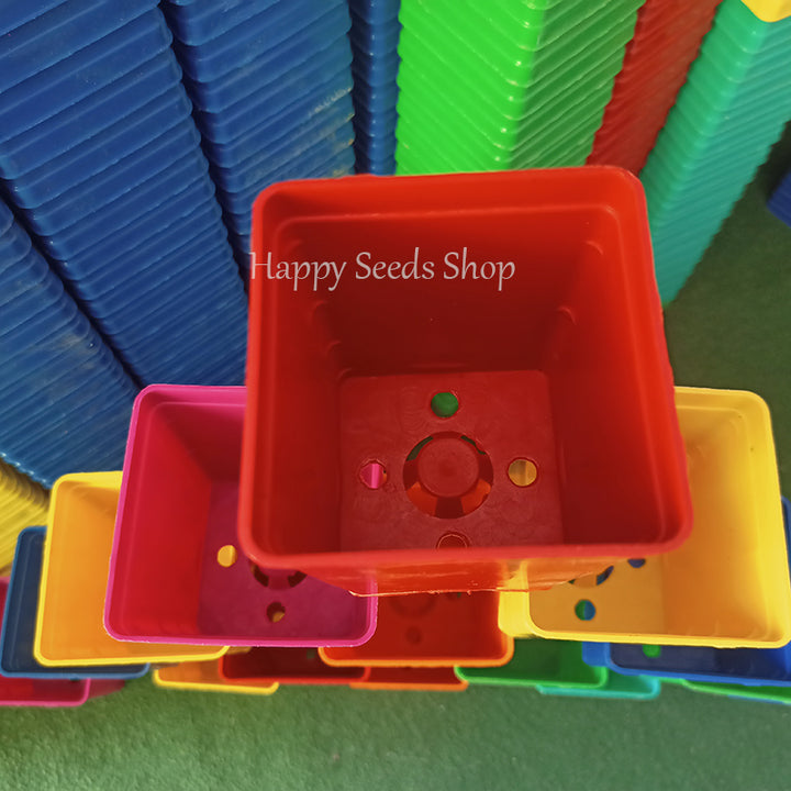 Square pots 3*4 Inches | 6 Pots set, mix colors