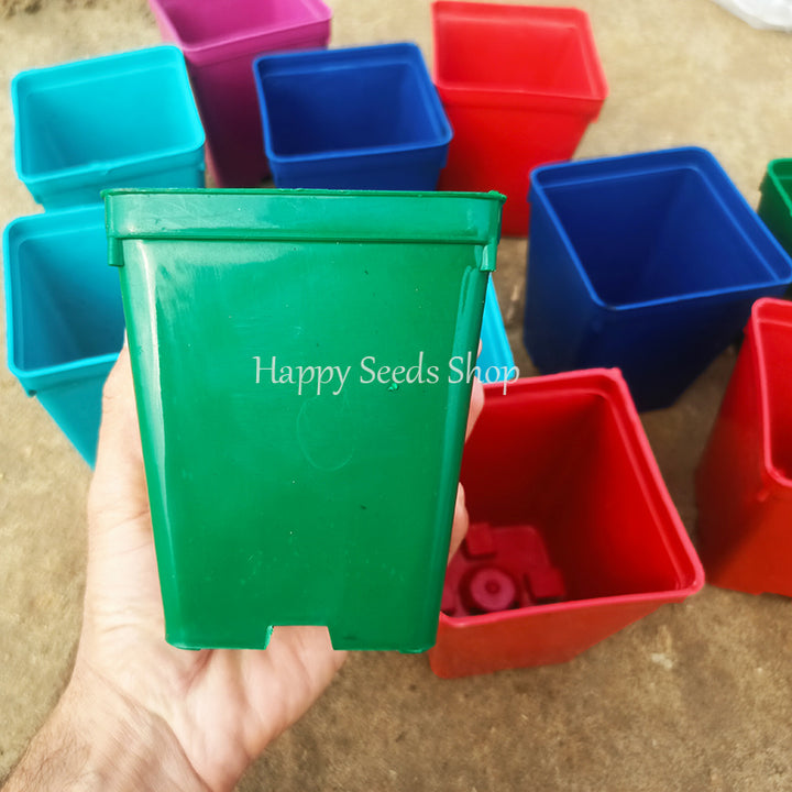 Square pots 4*5 inches | 6 pots set , mix colors