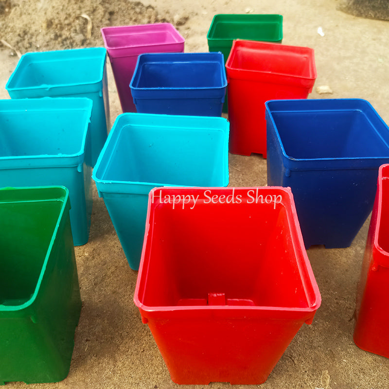 Square pots 4*5 inches | 6 pots set , mix colors