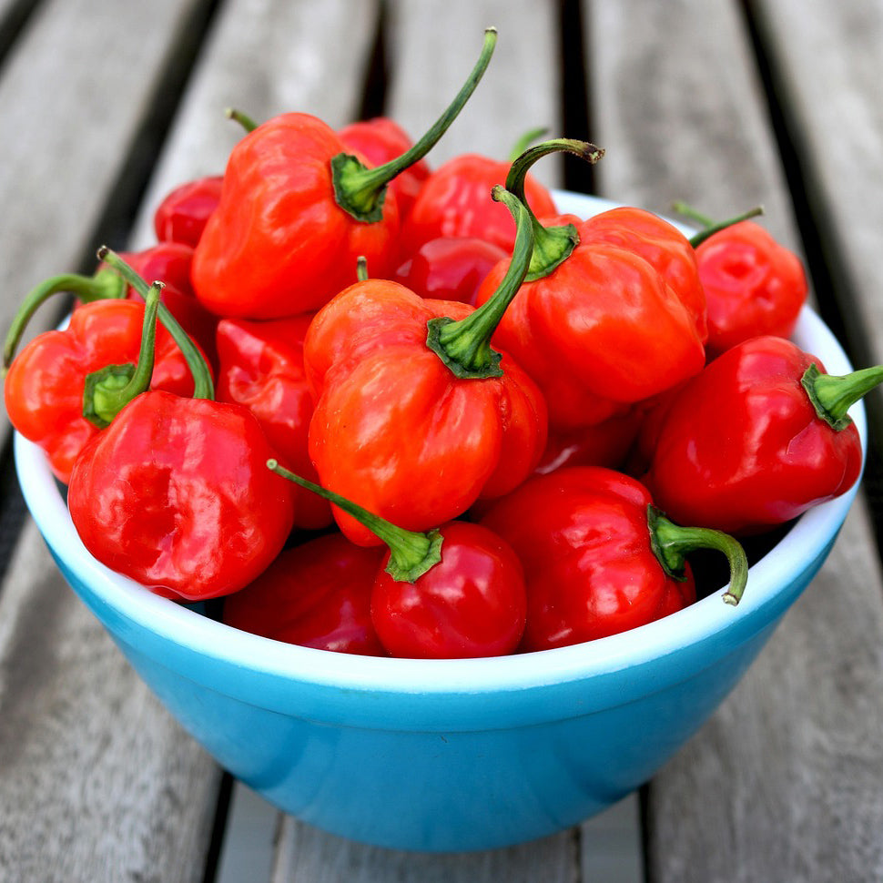 Habanero mix color pepper | Extremely Hot - 25+ seeds