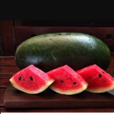 Watermelon Red Oval | Black Beauty Hybrid